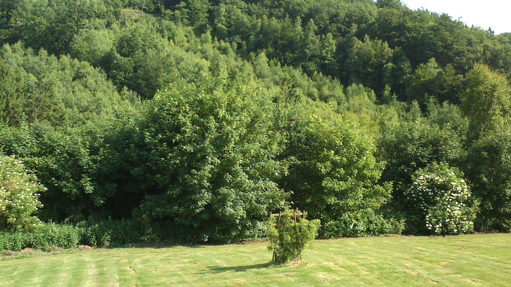 Vila La Cle Des Champs Bertogne Exteriér fotografie